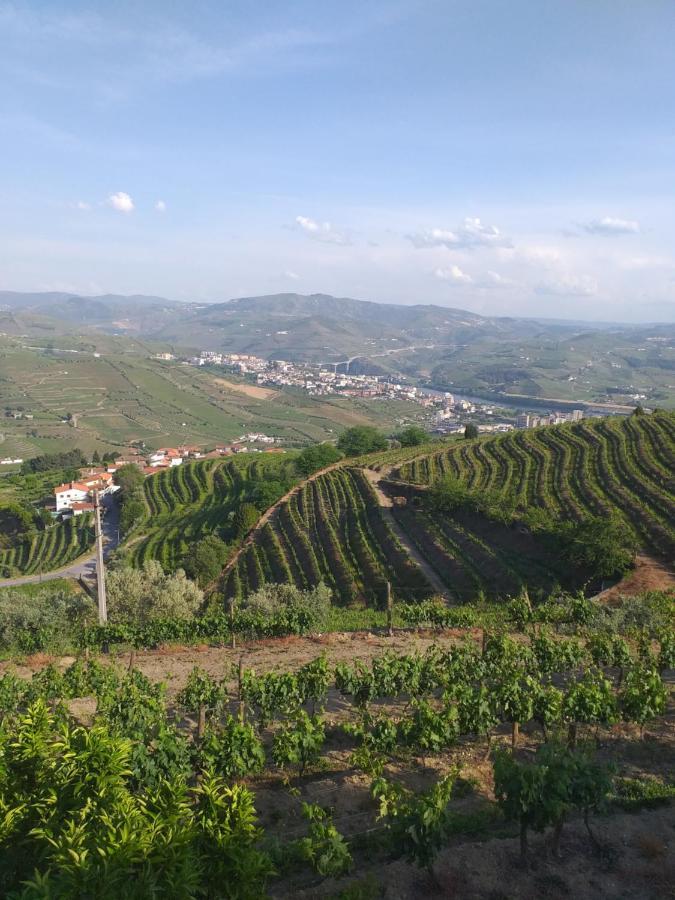 Retiro Da Quinta Do Souto Villa Peso da Régua Buitenkant foto